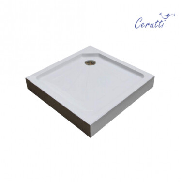 Ceruttispa Q91
