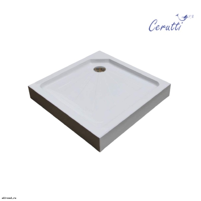 Ceruttispa Q91