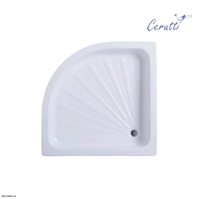 Ceruttispa R100
