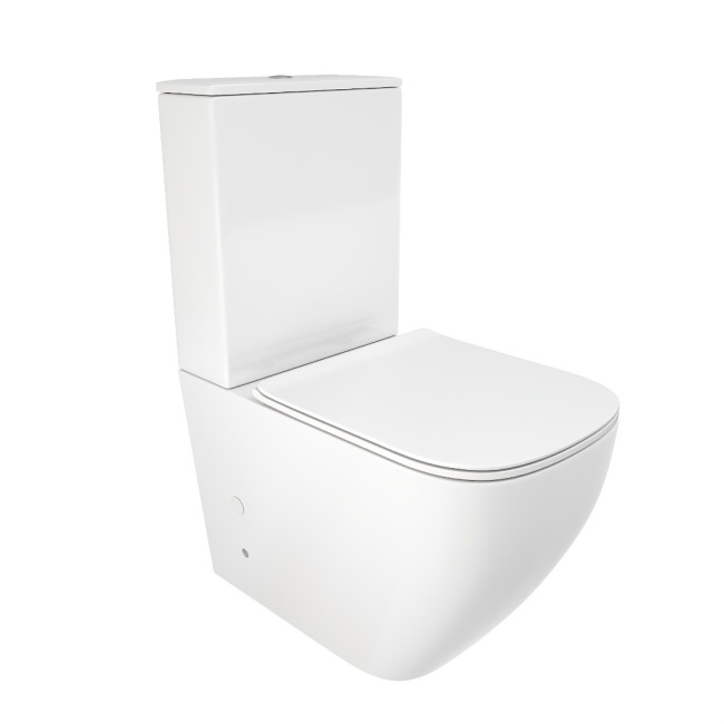 Ceruttispa Mimi CT8707